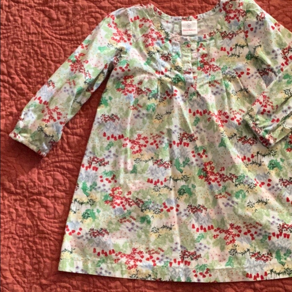 Hanna Anderson dress